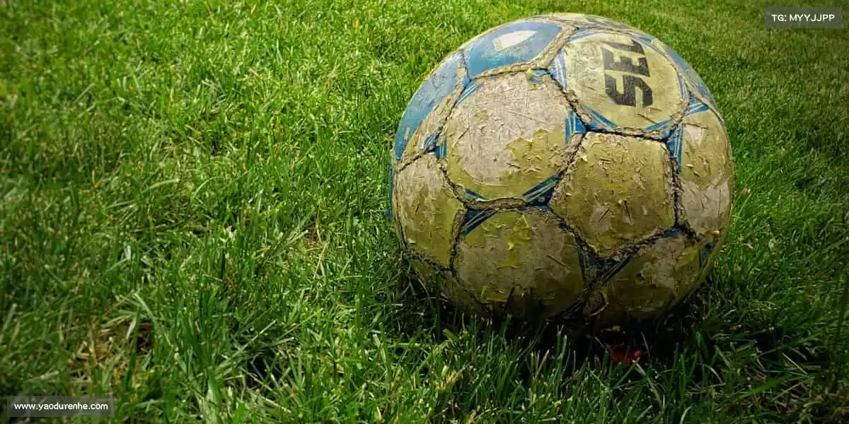 我们的品牌价值